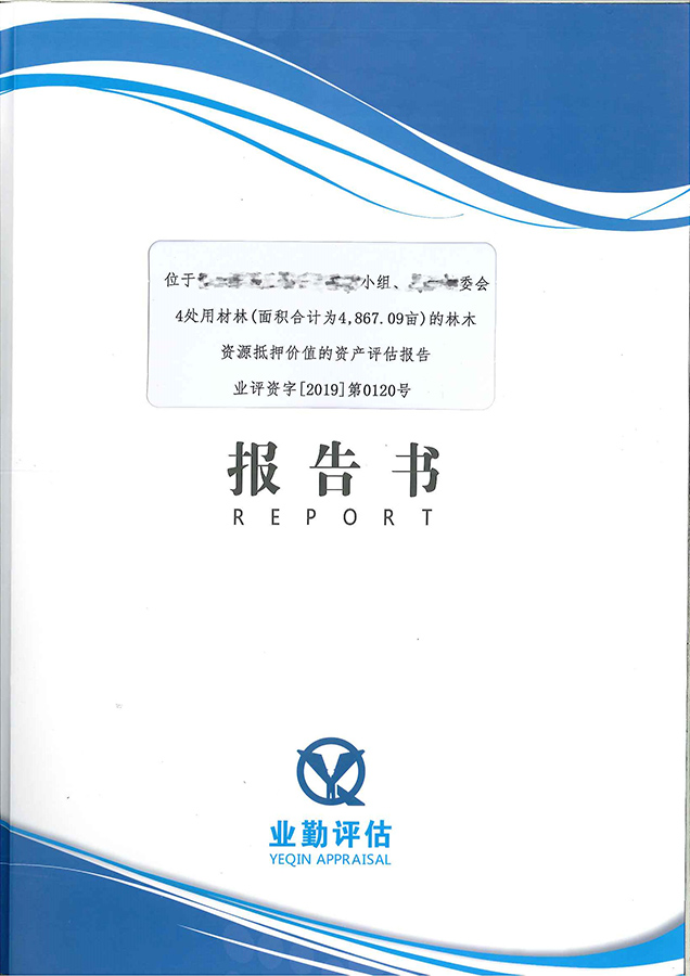 廣州4處林木資產(chǎn)抵押貸款評估價格