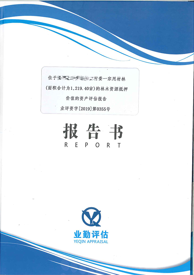 1宗林木資源抵押價格評估報告